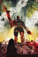 DEATHSTROKE THE TERMINATOR