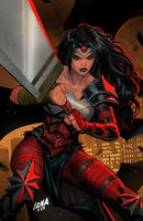 ABSOLUTE WONDER WOMAN