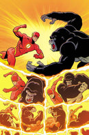 FLASH