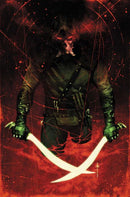 ABSOLUTE GREEN ARROW