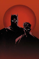 BATMAN & ROBIN YEAR ONE DYNAMIC DUOS