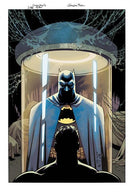 BATMAN & ROBIN YEAR ONE DYNAMIC DUOS