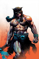 FIRE AND ICE DARKWOLF