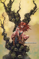 RED SONJA SHE DEVIL WITH A SWORD