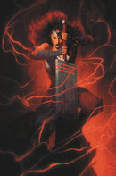 ABSOLUTE WONDER WOMAN