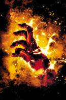 FURY OF FIRESTORM
