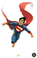 ABSOLUTE SUPERMAN