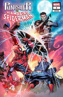DF PUNISHER VS SPIDERMAN