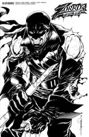 Zorro's Legacy