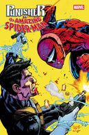 PUNISHER VS. SPIDER-MAN
