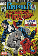 PUNISHER VS. SPIDER-MAN