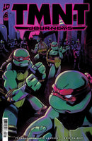 TMNT: Journeys