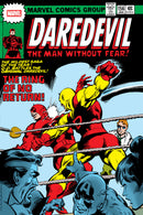 Daredevil Omnibus Vol. 4 Gene Colan Cover [DM Only]