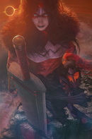 ABSOLUTE WONDER WOMAN