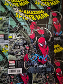 SIGNATURE SERIES FRANK MARTIN & MARCIO MENYZ AMAZING SPIDER-MAN