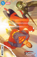 DC MARVEL SUPERMAN SPIDER-MAN