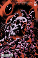 NICE HOUSE ON THE LAKE