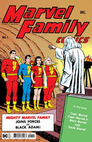 MARVEL FAMILY