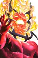 DOCTOR STRANGE 1 ALEX ROSS TIMELESS DORMAMMU VIRGIN VARIANT
